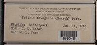 Image Associated With the Occurence